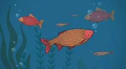 Do fish drink?