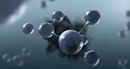 Why are there so many carbon compounds?