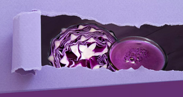 让我们制作红卷心菜指示剂