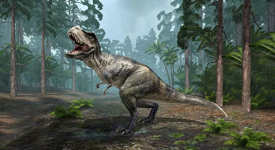 如何饲养你的T-REX