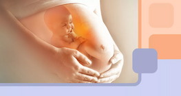 女性在怀孕期间身体会发生什么？