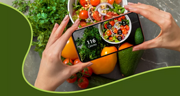 食物的能量含量