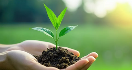 生命从何而来？