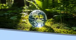 Ecology and Human Environmental Impact
