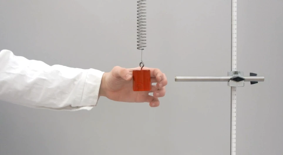 The motion of an object on a spring