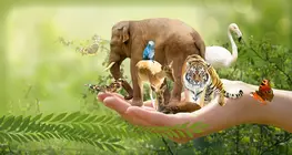 相关物种