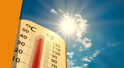 Skin thermometer