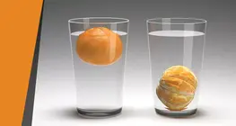 Floating orange