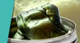 Silly putty or smart putty?