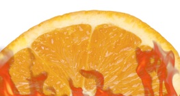 燃えるようなオレンジの皮