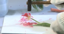 液体空気で凍らせる