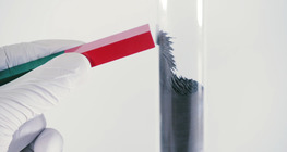 물리학적, 화학적 변화 - 철과 유황 간의 반응