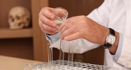 胃のタンパク質消化のモデリング