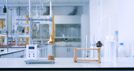 호두가 가연성입니까?