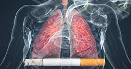 Effects of smoking on the lungs