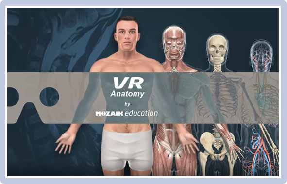 3D解剖学图谱