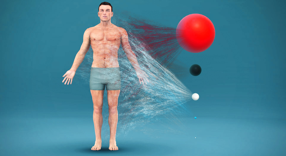 人体是有什么组成的？