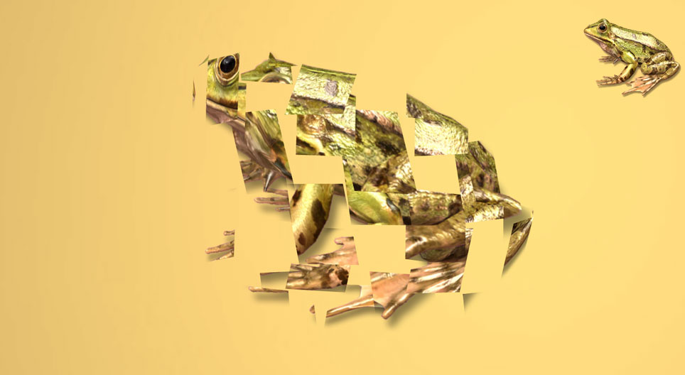 3D旋转游戏