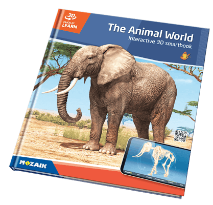 20個標題系列，並帶有800個的3D場景