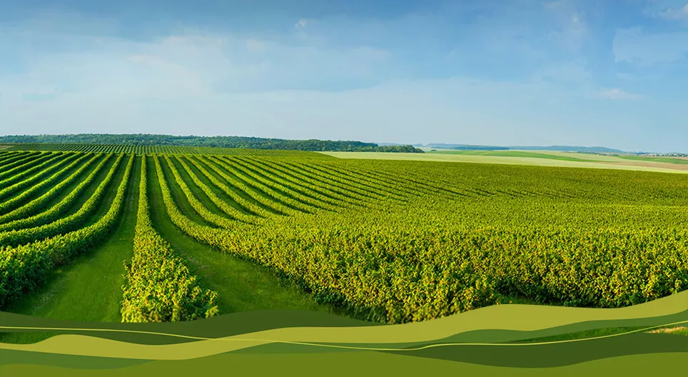 Plough wisely – the secrets of contour ploughing