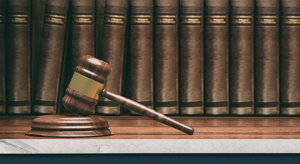 The pillars of democracy – the branches of state powers