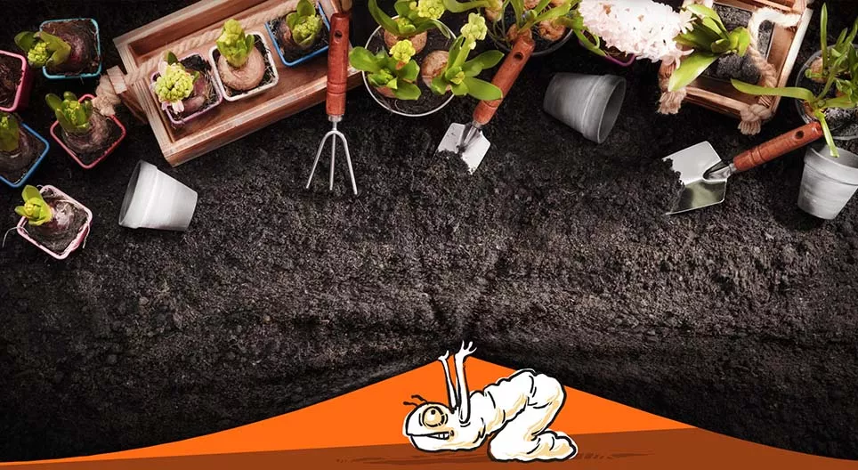 花園裏會發生些什麼？