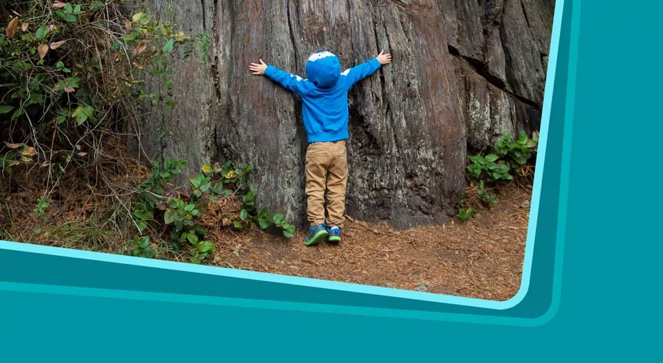 展示世界是多麼的美妙