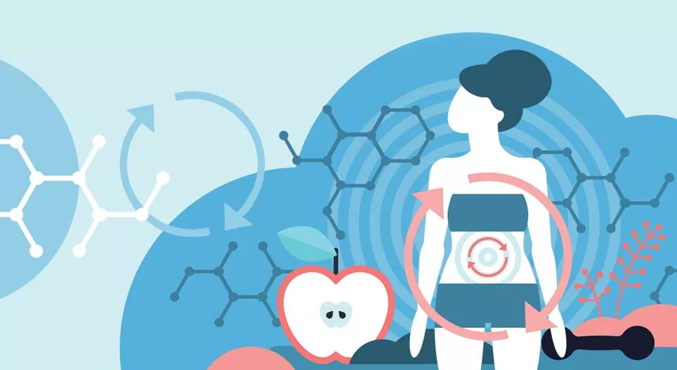 什麼是新陳代謝？