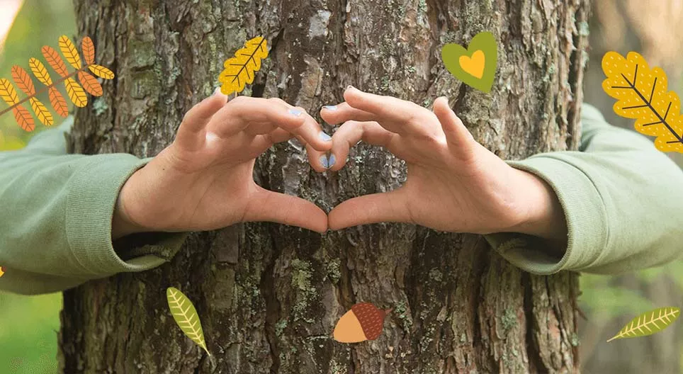 森林的生態系統