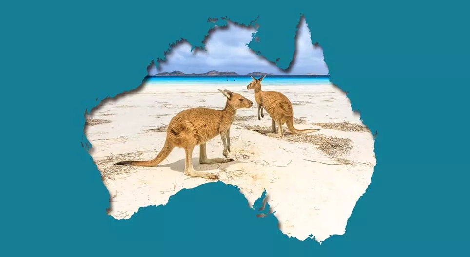 袋鼠棲息地的環境問題。