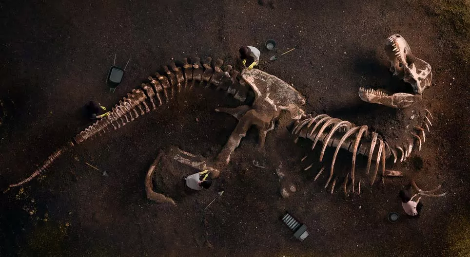 化石會告訴我們什麼？