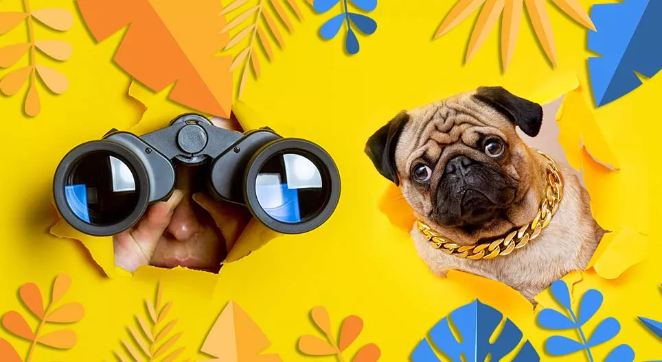 你還能看見它嗎？