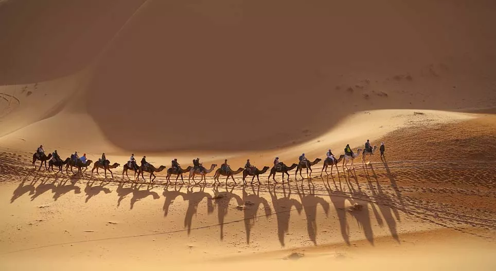 加入大篷車隊吧！