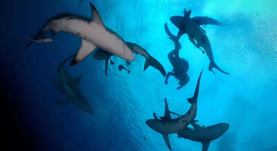 讓我們跳進去！