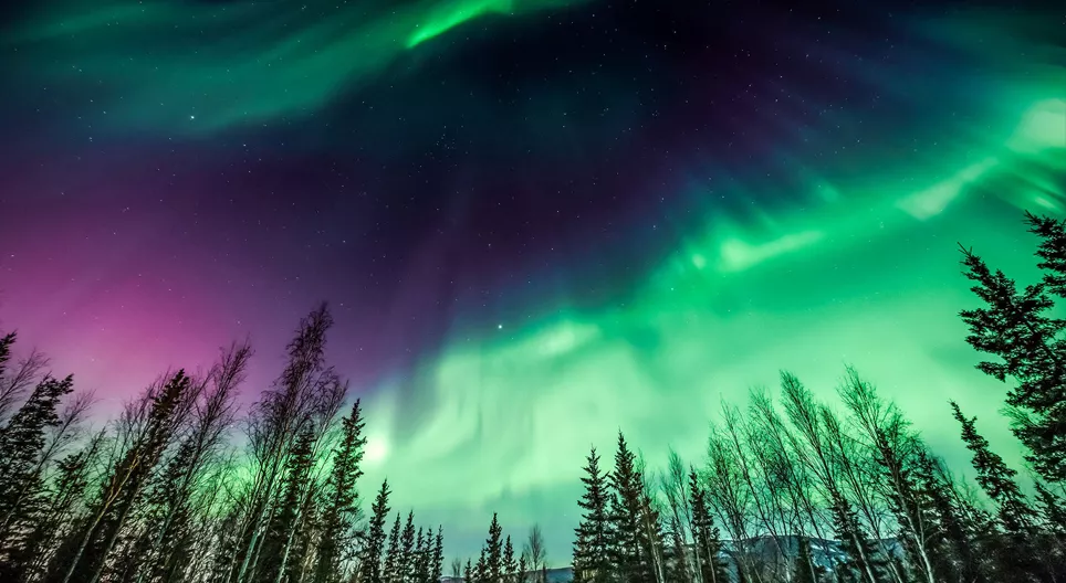 讓我們去看極光吧