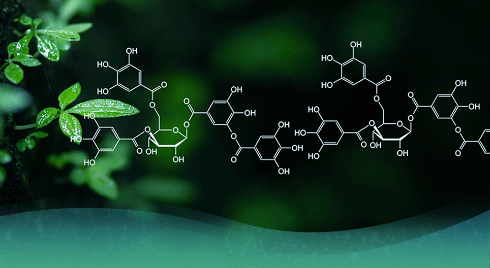 有機化學的發展