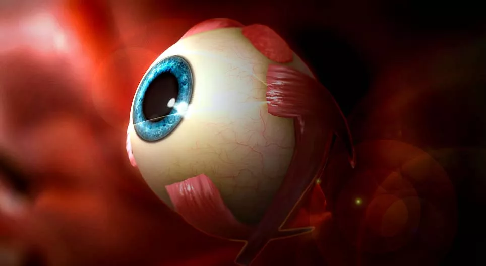 我們通過什麼看東西？人眼