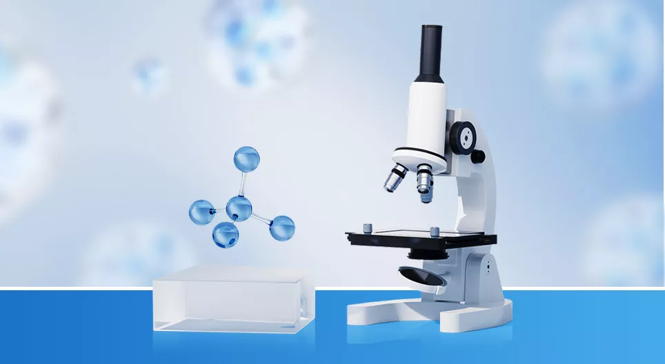 如何使用显微镜？