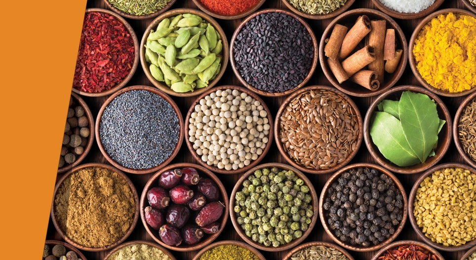 舌尖上的千種味蕾