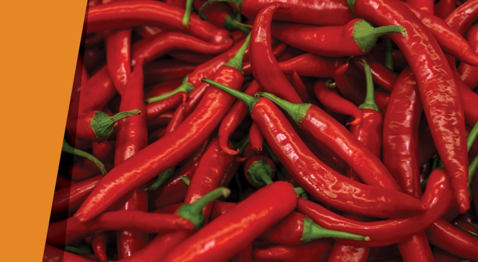 就像喜歡歡喜的感覺